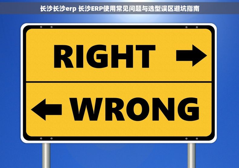 长沙长沙erp 长沙ERP使用常见问题与选型误区避坑指南