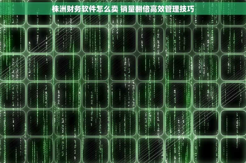 株洲财务软件怎么卖 销量翻倍高效管理技巧