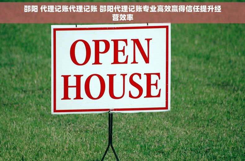 邵阳 代理记账代理记账 邵阳代理记账专业高效赢得信任提升经营效率