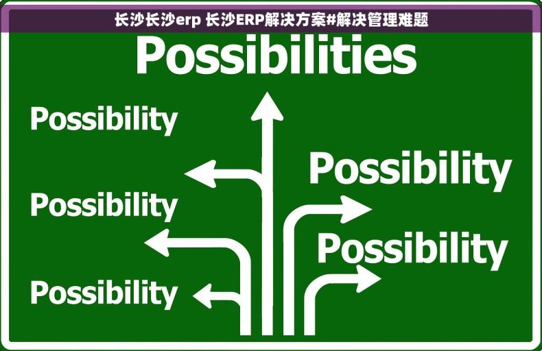 长沙长沙erp 长沙ERP解决方案#解决管理难题