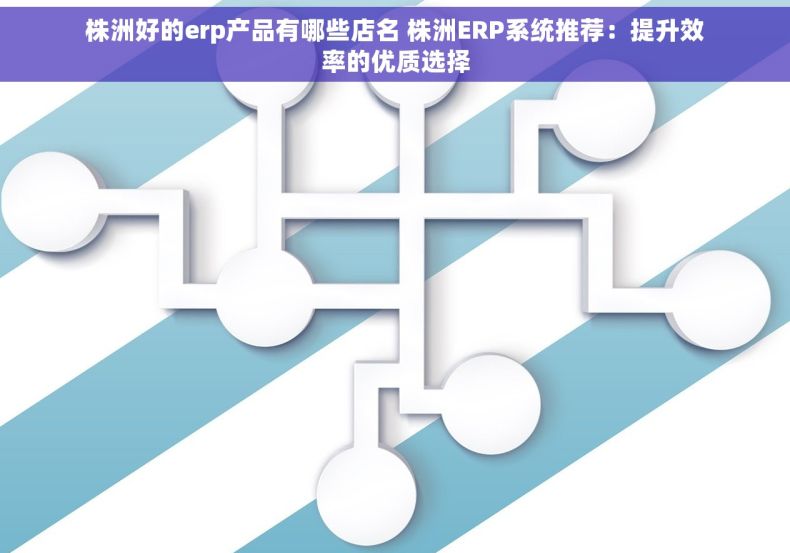 株洲好的erp产品有哪些店名 株洲ERP系统推荐：提升效率的优质选择