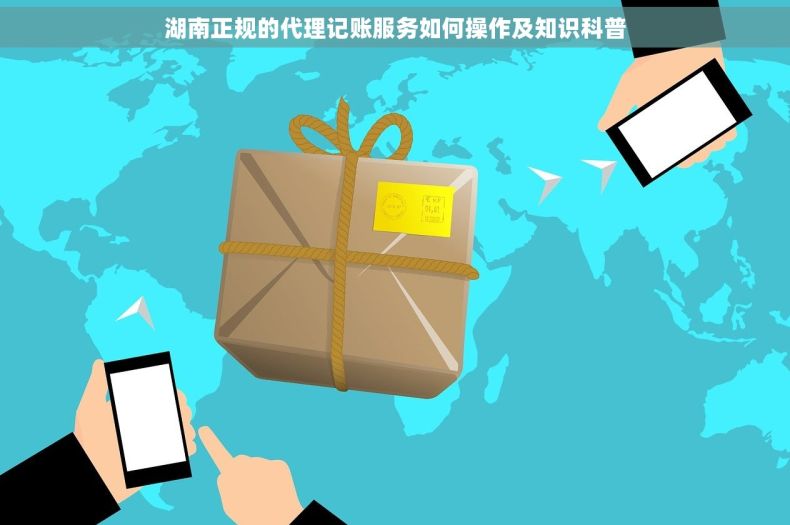 湖南正规的代理记账服务如何操作及知识科普