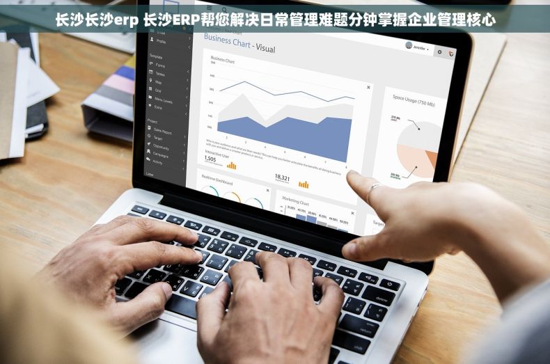 长沙长沙erp 长沙ERP帮您解决日常管理难题分钟掌握企业管理核心