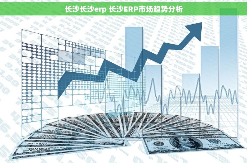 长沙长沙erp 长沙ERP市场趋势分析