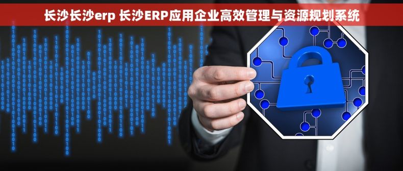 长沙长沙erp 长沙ERP应用企业高效管理与资源规划系统