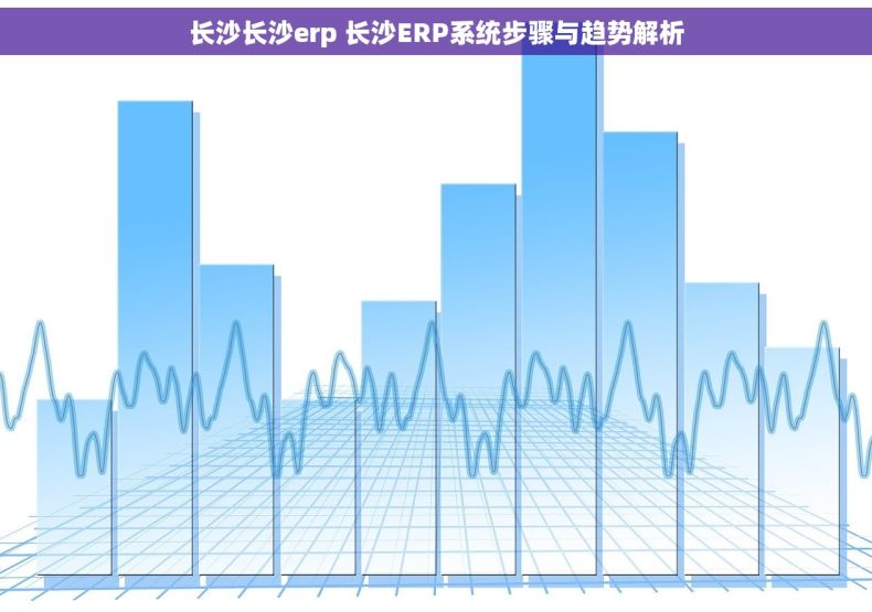 长沙长沙erp 长沙ERP系统步骤与趋势解析