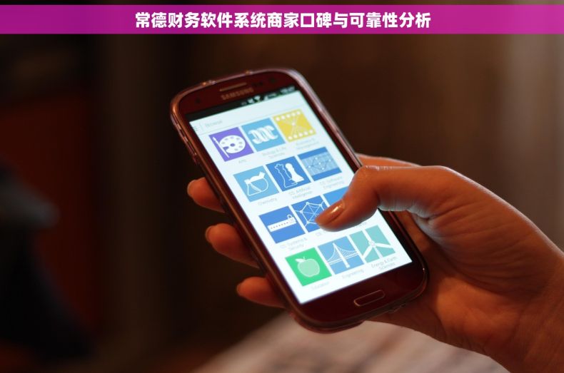 常德财务软件系统商家口碑与可靠性分析