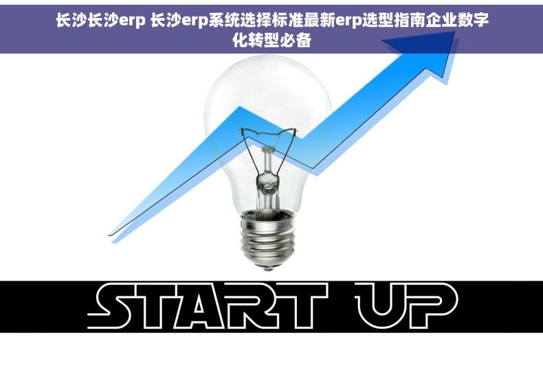 长沙长沙erp 长沙erp系统选择标准最新erp选型指南企业数字化转型必备