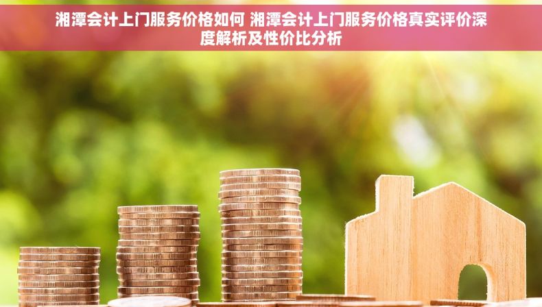 湘潭会计上门服务价格如何 湘潭会计上门服务价格真实评价深度解析及性价比分析