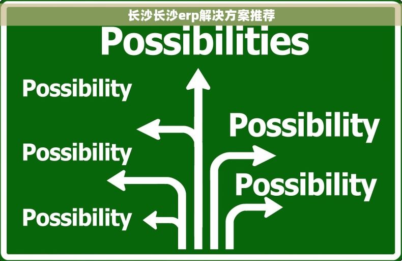 长沙长沙erp解决方案推荐