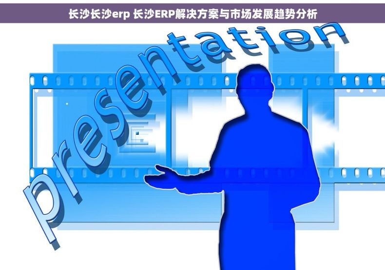 长沙长沙erp 长沙ERP解决方案与市场发展趋势分析
