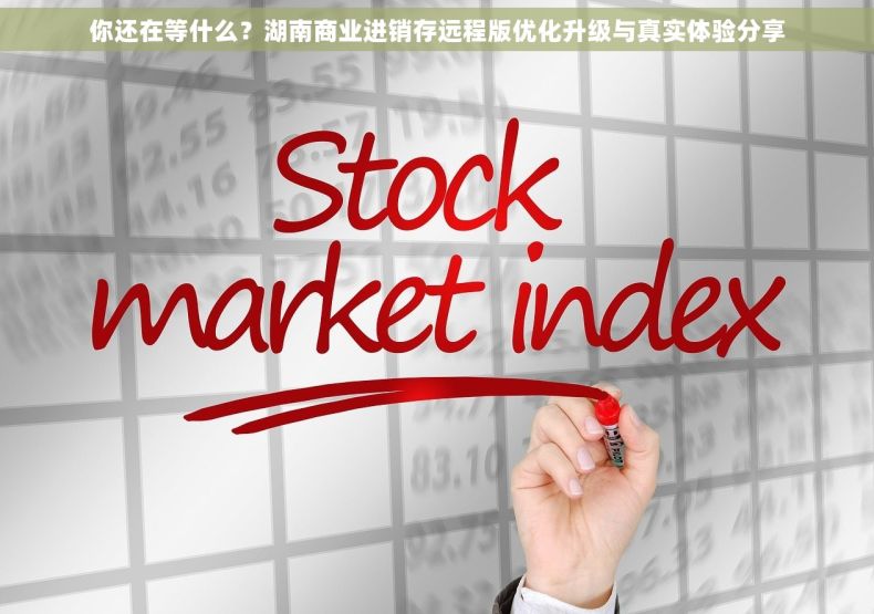 你还在等什么？湖南商业进销存远程版优化升级与真实体验分享