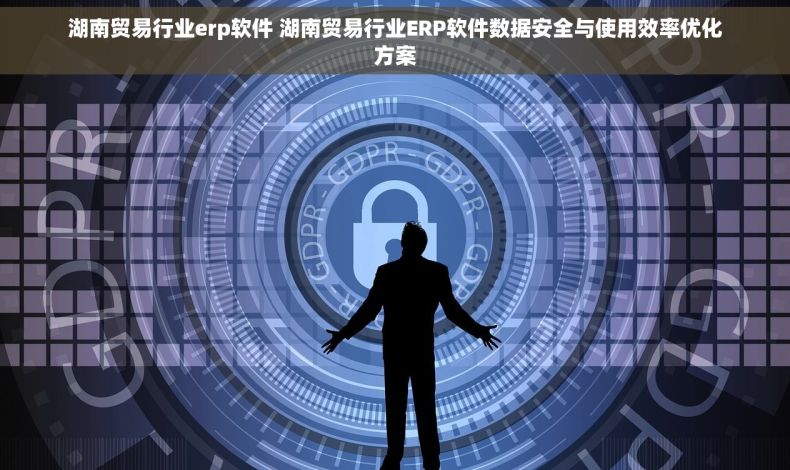 湖南贸易行业erp软件 湖南贸易行业ERP软件数据安全与使用效率优化方案