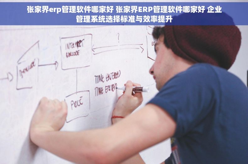 张家界erp管理软件哪家好 张家界ERP管理软件哪家好 企业管理系统选择标准与效率提升