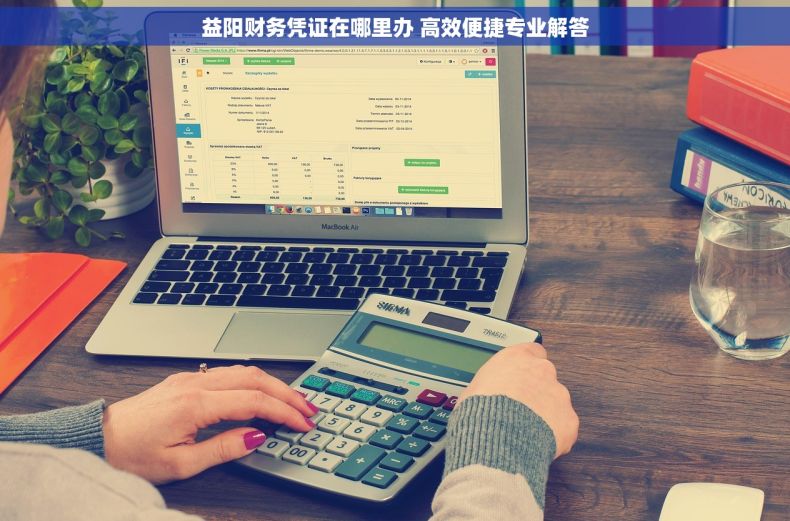 益阳财务凭证在哪里办 高效便捷专业解答
