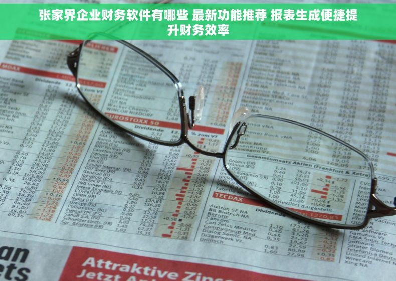 张家界企业财务软件有哪些 最新功能推荐 报表生成便捷提升财务效率