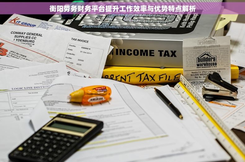 衡阳劳务财务平台提升工作效率与优势特点解析