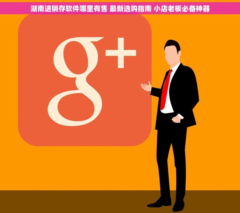 湖南进销存软件哪里有售 最新选购指南 小店老板必备神器