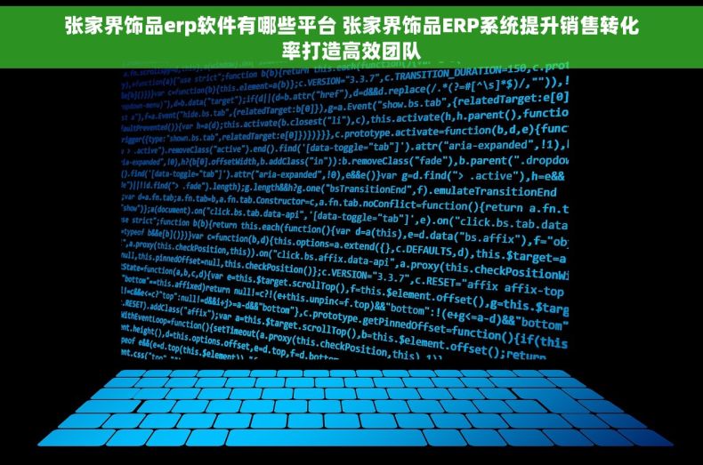 张家界饰品erp软件有哪些平台 张家界饰品ERP系统提升销售转化率打造高效团队