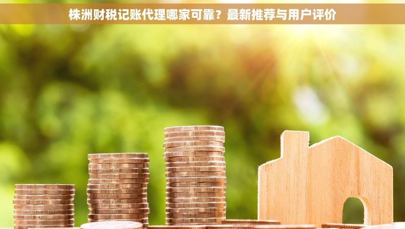 株洲财税记账代理哪家可靠？最新推荐与用户评价