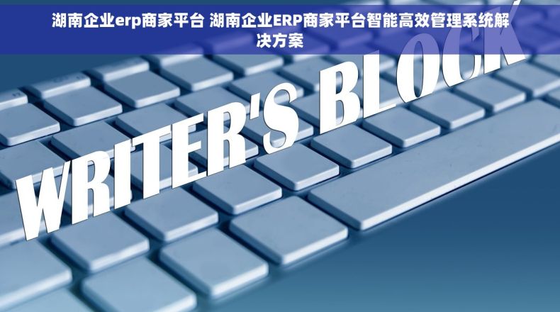湖南企业erp商家平台 湖南企业ERP商家平台智能高效管理系统解决方案