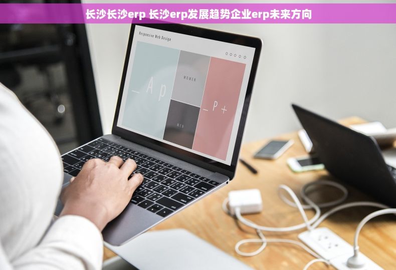长沙长沙erp 长沙erp发展趋势企业erp未来方向