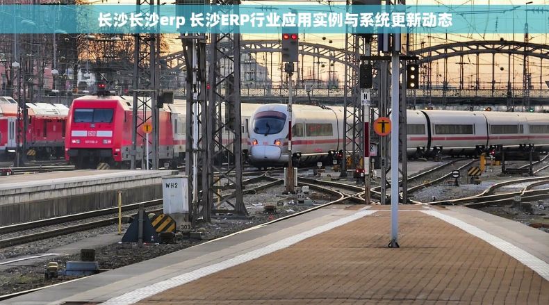 长沙长沙erp 长沙ERP行业应用实例与系统更新动态