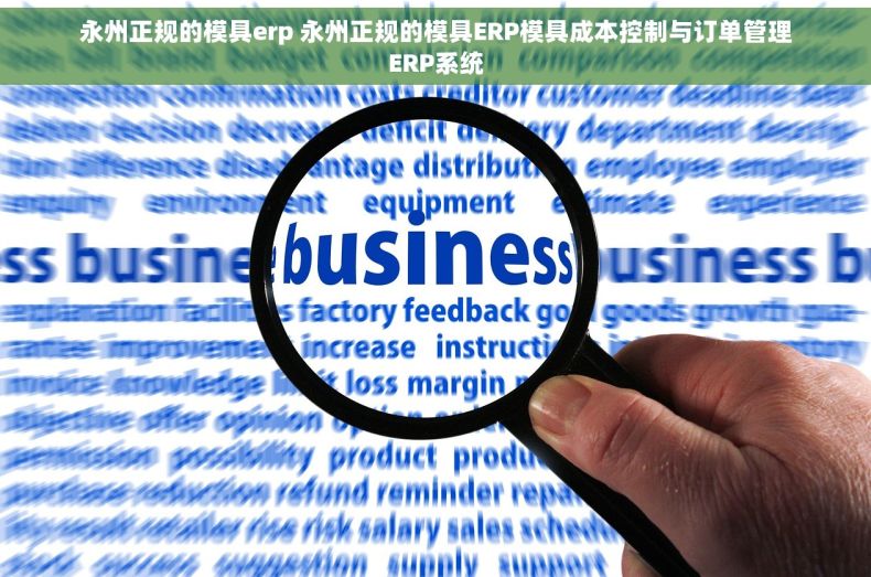 永州正规的模具erp 永州正规的模具ERP模具成本控制与订单管理ERP系统