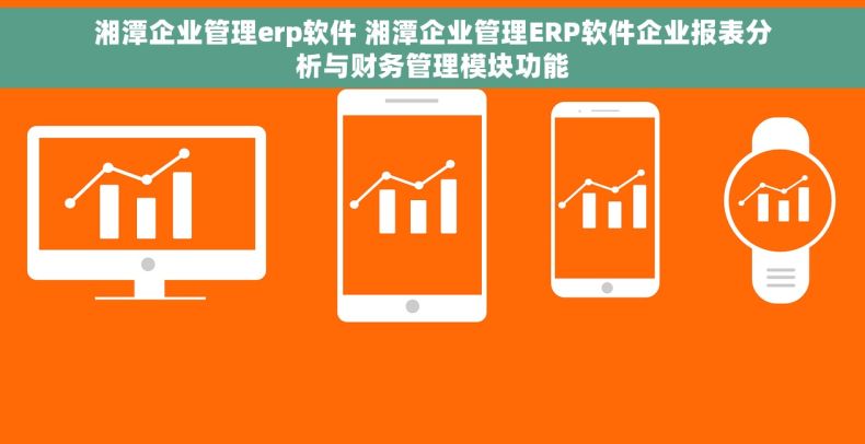 湘潭企业管理erp软件 湘潭企业管理ERP软件企业报表分析与财务管理模块功能