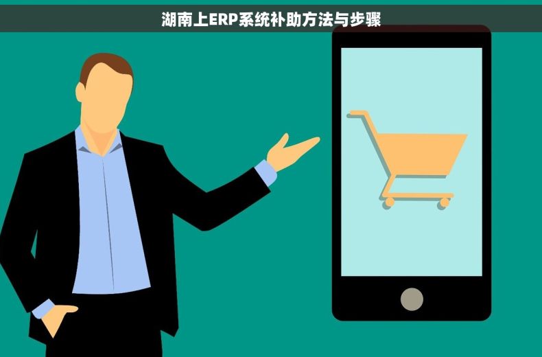 湖南上ERP系统补助方法与步骤