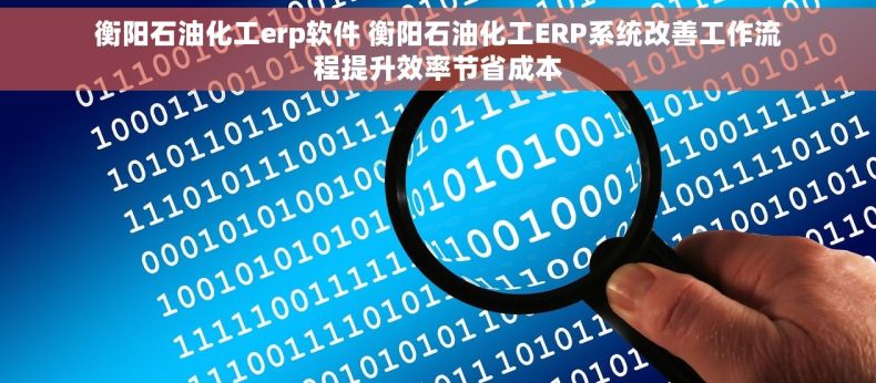 衡阳石油化工erp软件 衡阳石油化工ERP系统改善工作流程提升效率节省成本
