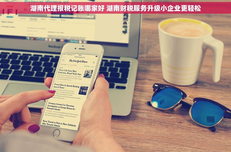 湖南代理报税记账哪家好 湖南财税服务升级小企业更轻松