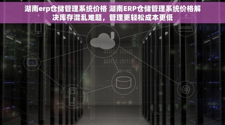 湖南erp仓储管理系统价格 湖南ERP仓储管理系统价格解决库存混乱难题，管理更轻松成本更低
