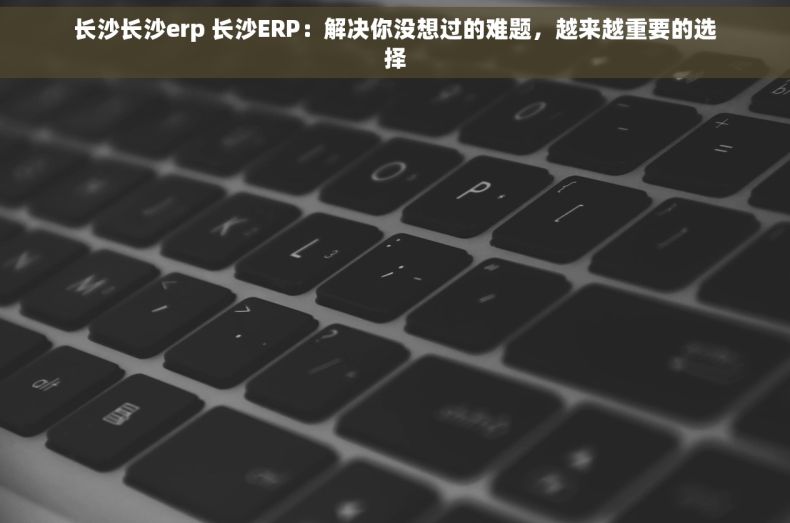 长沙长沙erp 长沙ERP：解决你没想过的难题，越来越重要的选择