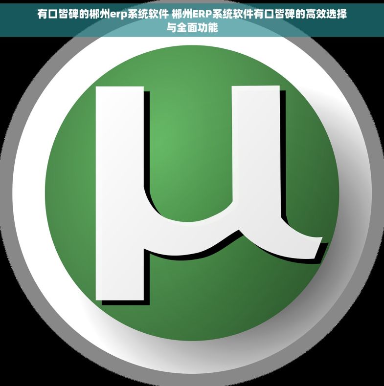 有口皆碑的郴州erp系统软件 郴州ERP系统软件有口皆碑的高效选择与全面功能