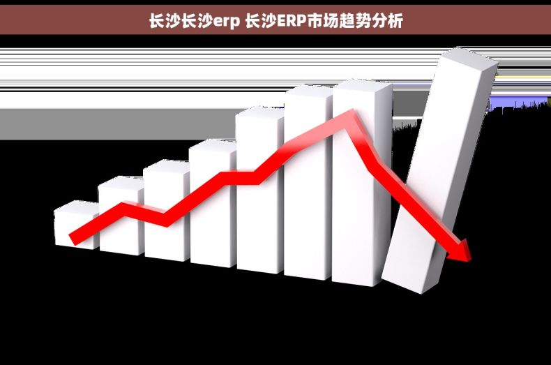 长沙长沙erp 长沙ERP市场趋势分析