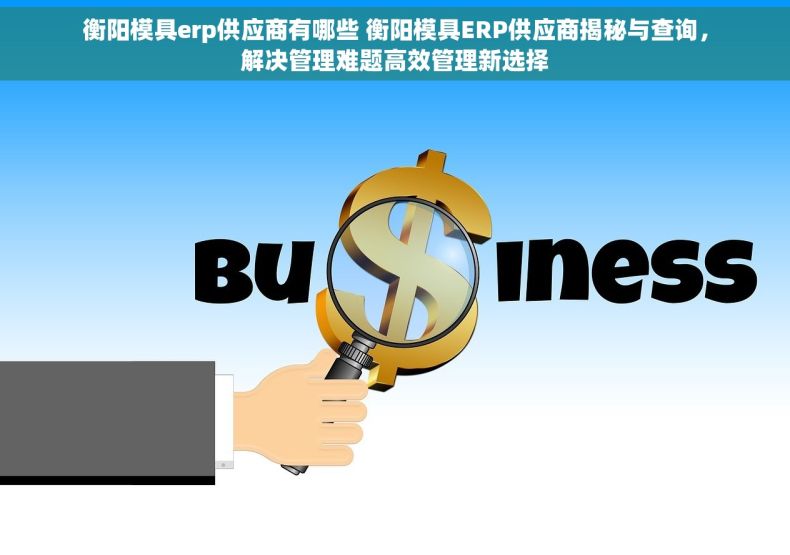 衡阳模具erp供应商有哪些 衡阳模具ERP供应商揭秘与查询，解决管理难题高效管理新选择
