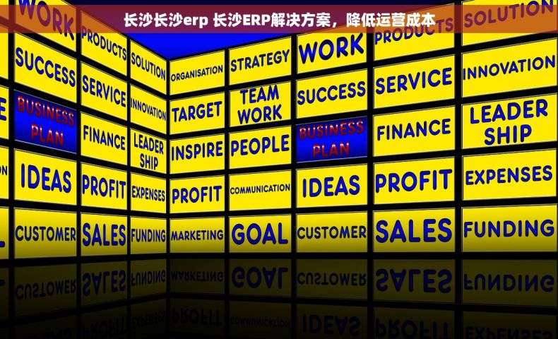 长沙长沙erp 长沙ERP解决方案，降低运营成本