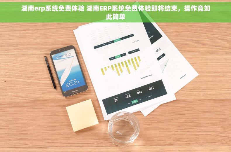 湖南erp系统免费体验 湖南ERP系统免费体验即将结束，操作竟如此简单
