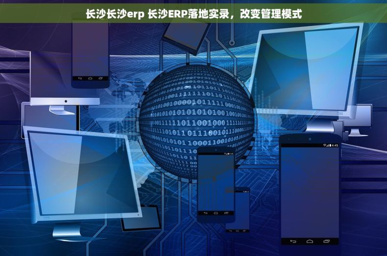 长沙长沙erp 长沙ERP落地实录，改变管理模式