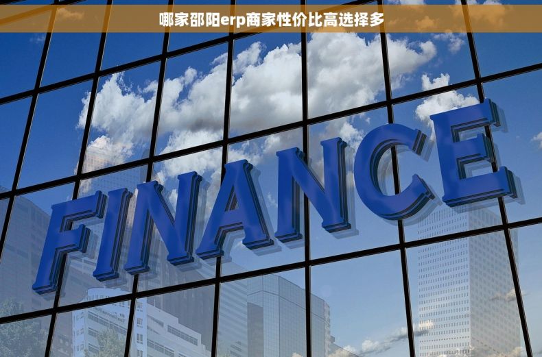 哪家邵阳erp商家性价比高选择多