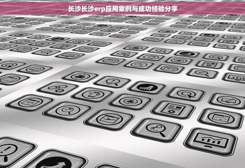 长沙长沙erp应用案例与成功经验分享