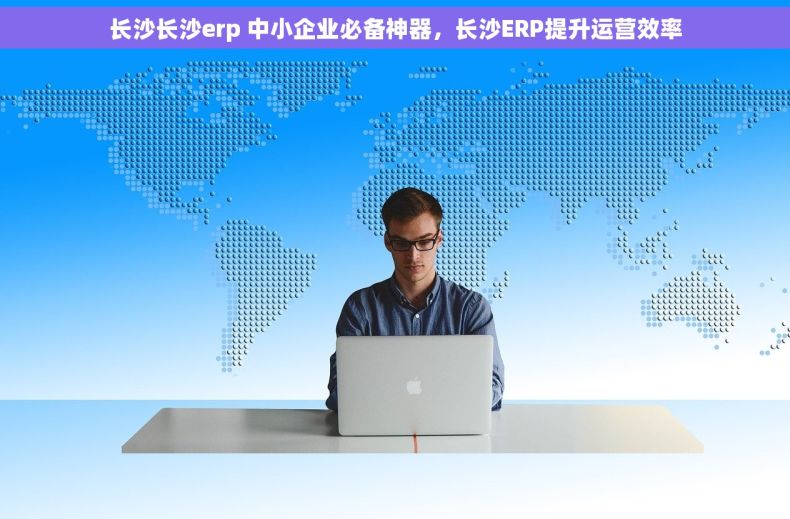 长沙长沙erp 中小企业必备神器，长沙ERP提升运营效率
