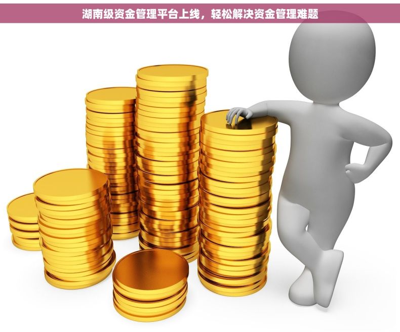 湖南级资金管理平台上线，轻松解决资金管理难题