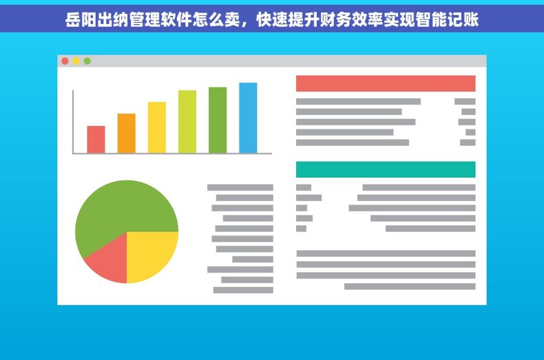 岳阳出纳管理软件怎么卖，快速提升财务效率实现智能记账