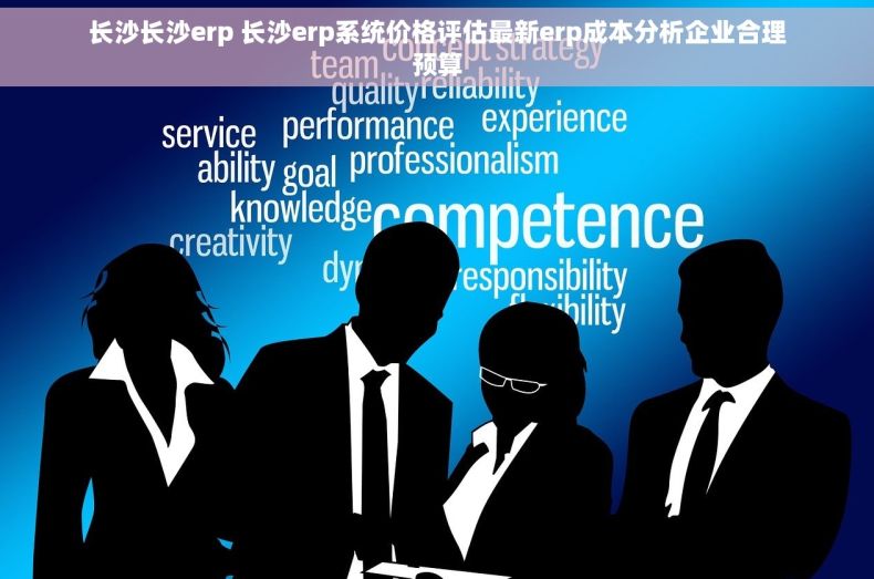 长沙长沙erp 长沙erp系统价格评估最新erp成本分析企业合理预算