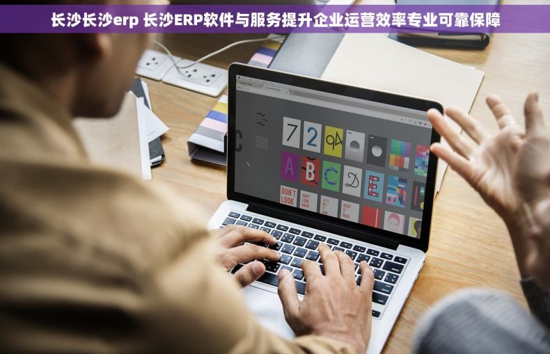 长沙长沙erp 长沙ERP软件与服务提升企业运营效率专业可靠保障
