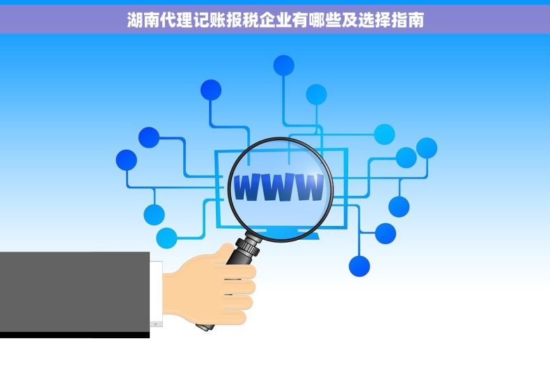 湖南代理记账报税企业有哪些及选择指南