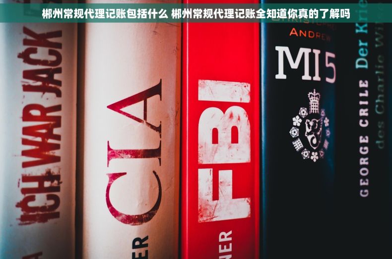 郴州常规代理记账包括什么 郴州常规代理记账全知道你真的了解吗