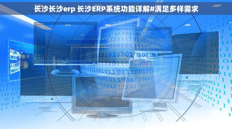 长沙长沙erp 长沙ERP系统功能详解#满足多样需求